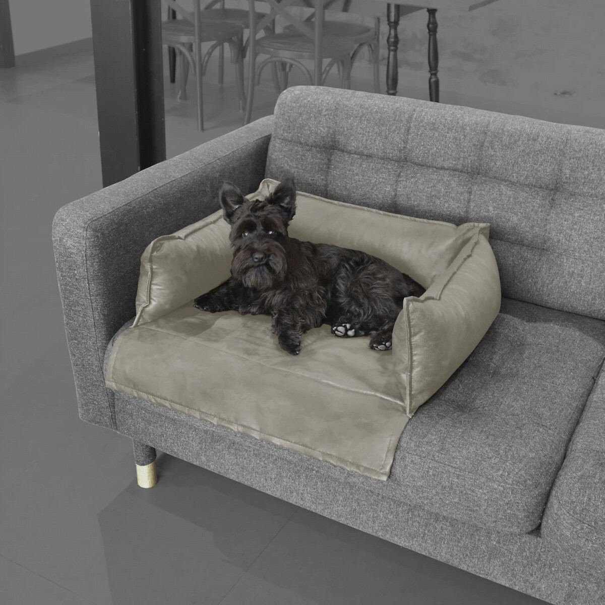 Cuscini per animali domestici: comfort e design per il tuo migliore amico