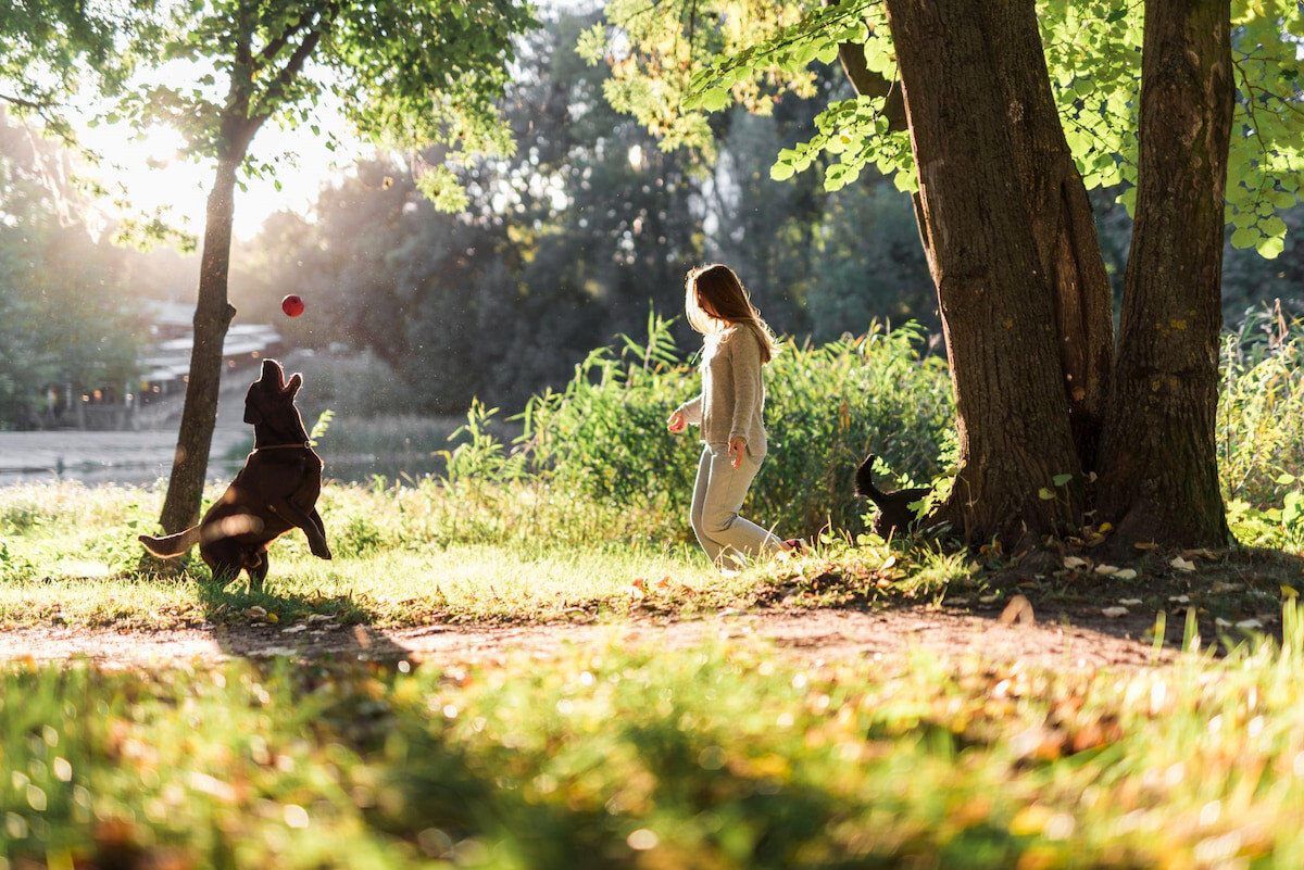 Terrazze Pet-Friendly: 4 Idee per Adattare lo Spazio a Animali e Proprietari