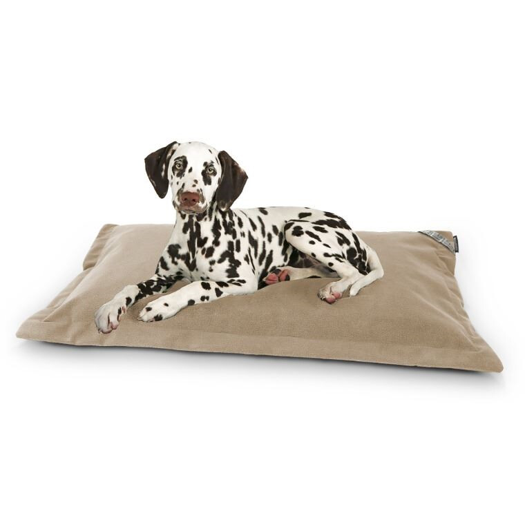 Cama para Perros o Gatos, Tejido Aquaclean y Antimanchas en Color Beige. (1)