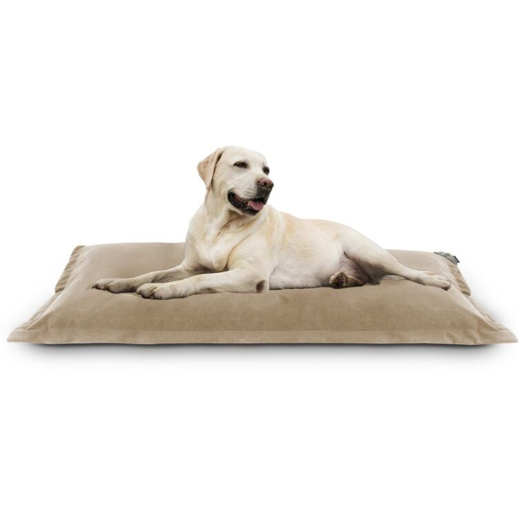Cama para Perros o Gatos, Tejido Aquaclean y Antimanchas en Color Beige. (2)