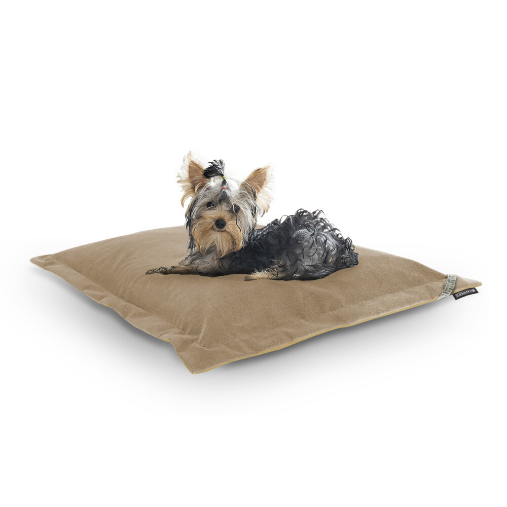 Cama perros gatos.