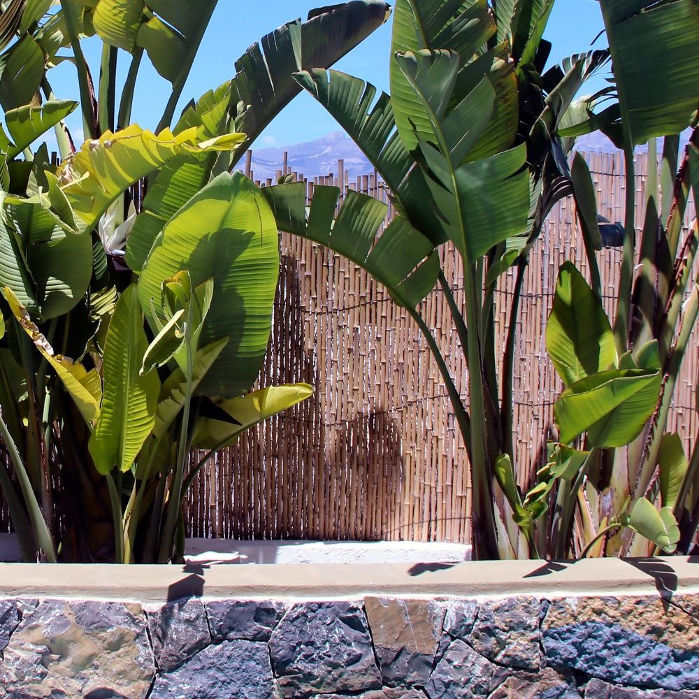 Recinzione da giardino BAMBU' Naturale Happers (3)